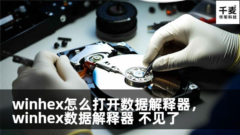 winhex怎么打開數(shù)據(jù)解釋器，winhex數(shù)據(jù)解釋器 不見了